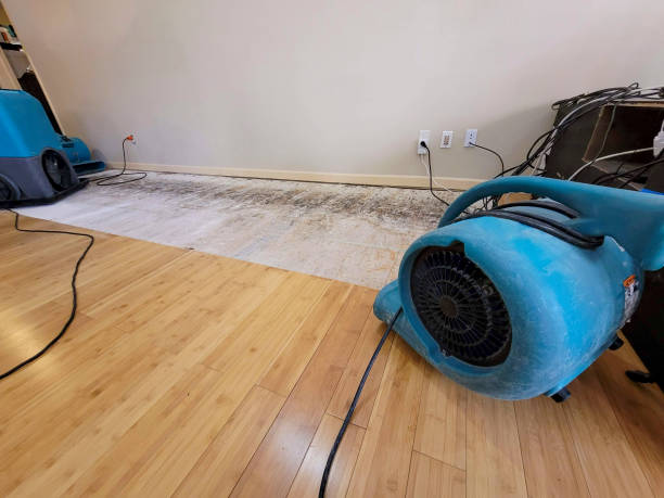 Professional Flood Damage Cleanup technician working in Cherokee, IA